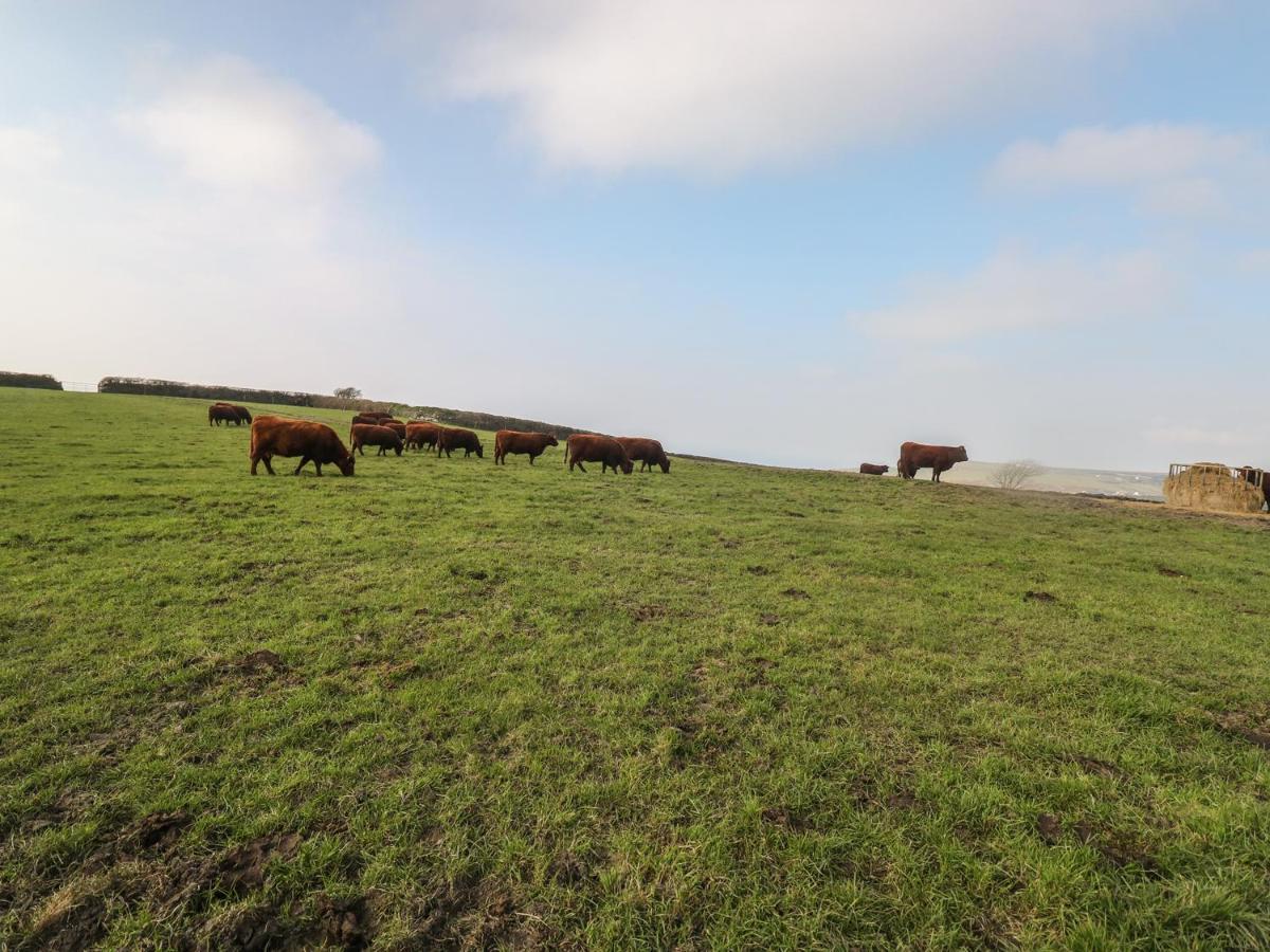 Home Farm Cottage 보스캐슬 외부 사진